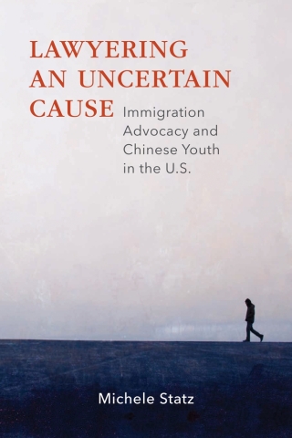 Lawyering an Uncertain Cause