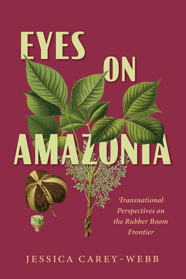 Eyes on Amazonia