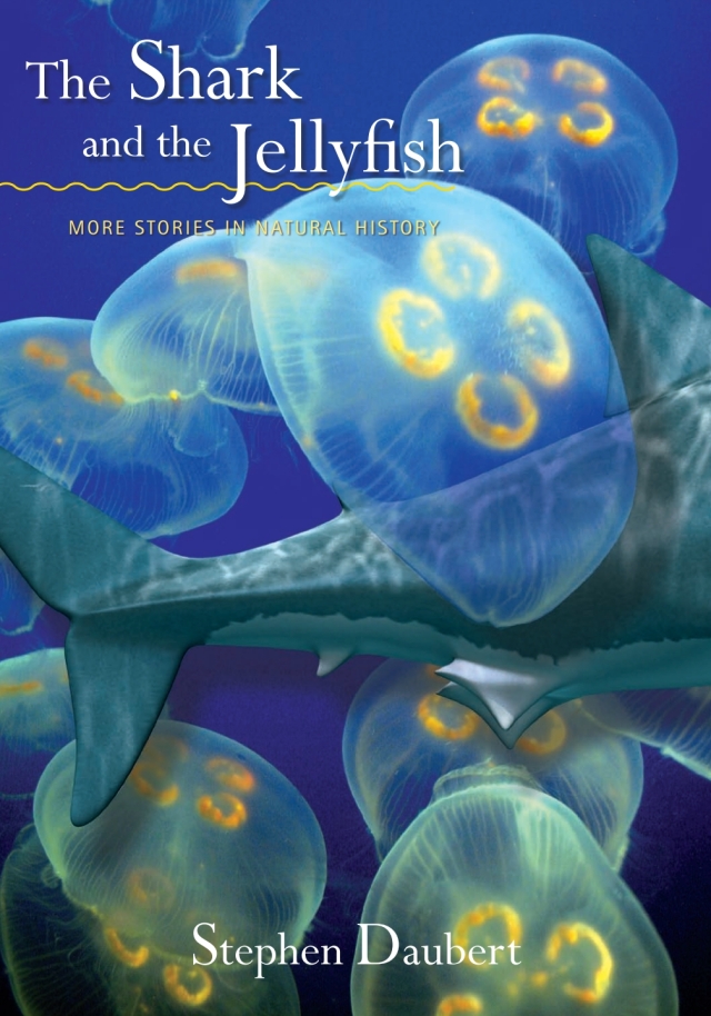 The Shark and the Jellyfish