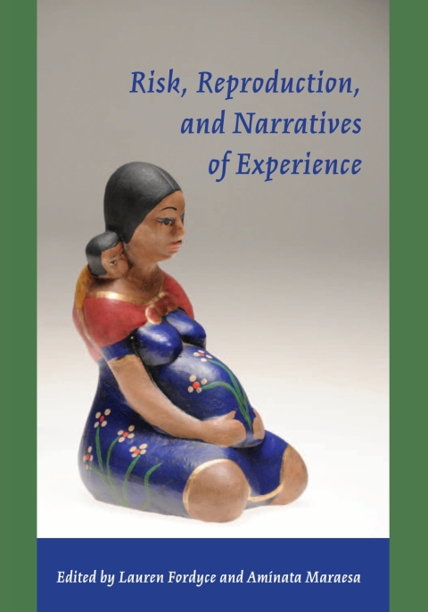 Cover image for book Risk, Reproduction, and Narratives of Experience