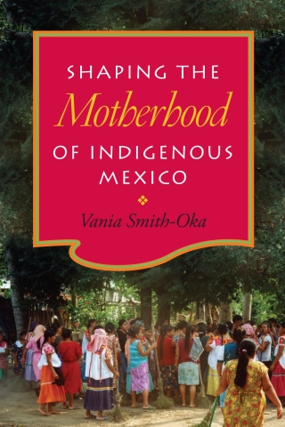 Shaping the Motherhood of Indigenous Mexico
