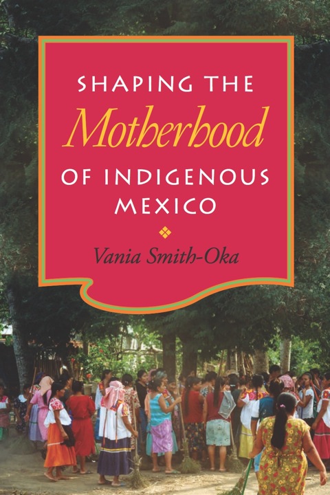 Cover image for book Shaping the Motherhood of Indigenous Mexico