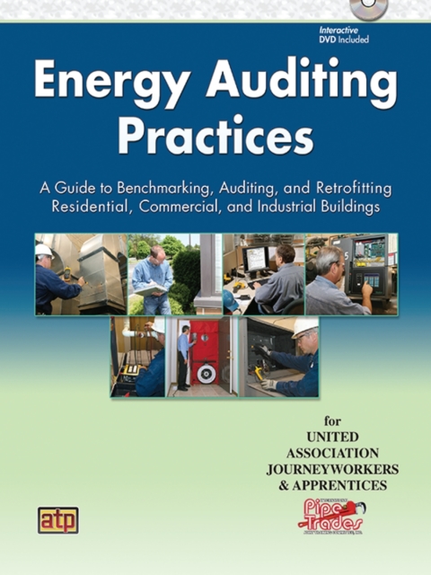 Cover image for book Energy Auditing Practices