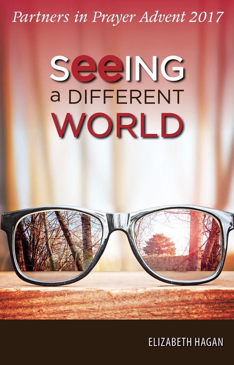 Cover image for book Seeing a Different World
