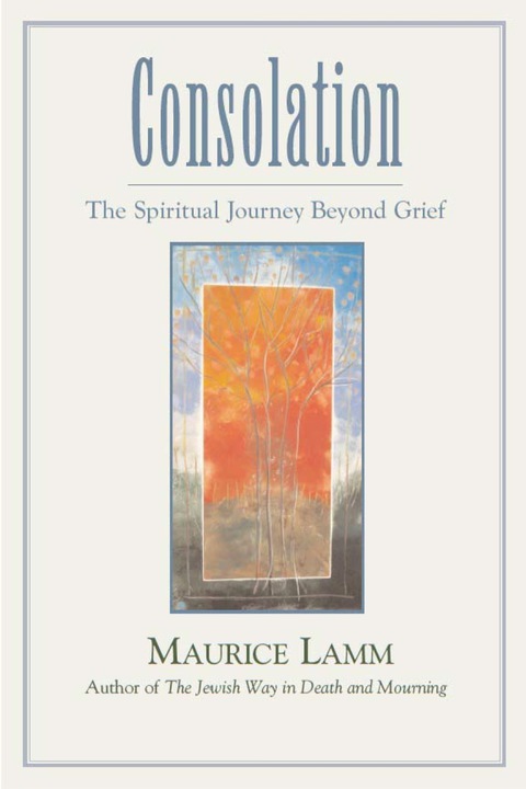 Cover image for book Consolation