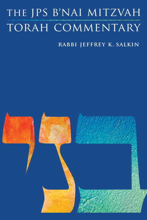 Cover image for book The JPS B'nai Mitzvah Torah Commentary