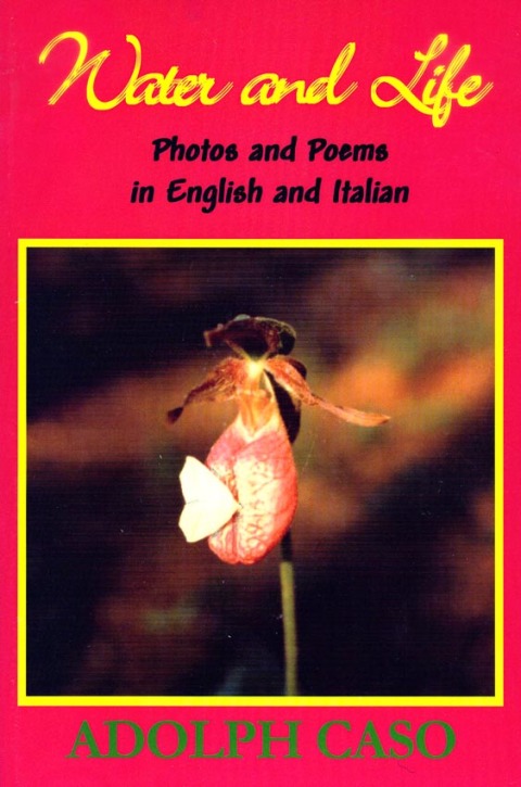 Cover image for book Water and Life