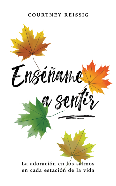 Cover image for book Enséñame a sentir