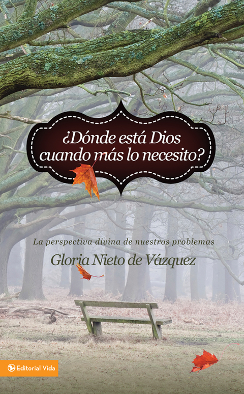 Cover image for book ¿Dónde está Dios cuando más lo necesito?