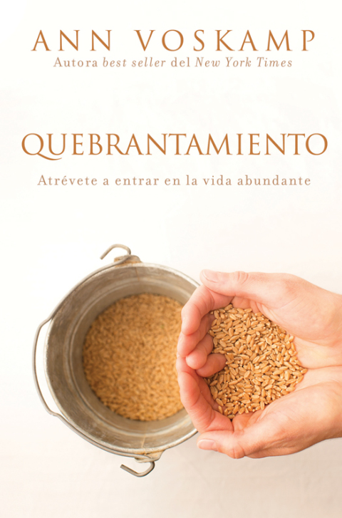 Cover image for book Quebrantamiento