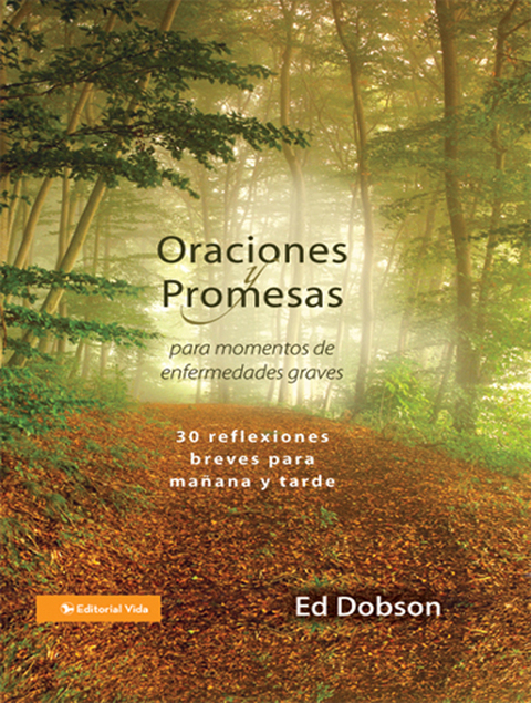 Cover image for book Oraciones y promesas