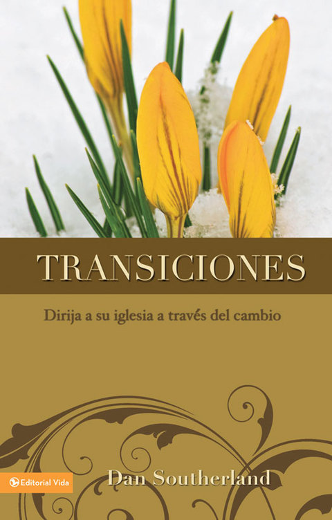Cover image for book Transiciones