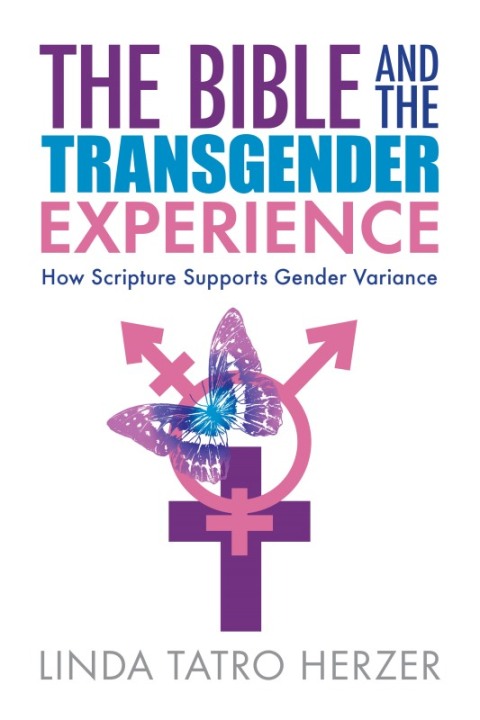 Cover image for book Bible and the Transgender Experience