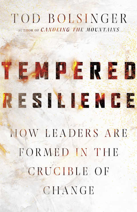 Cover image for book Tempered Resilience