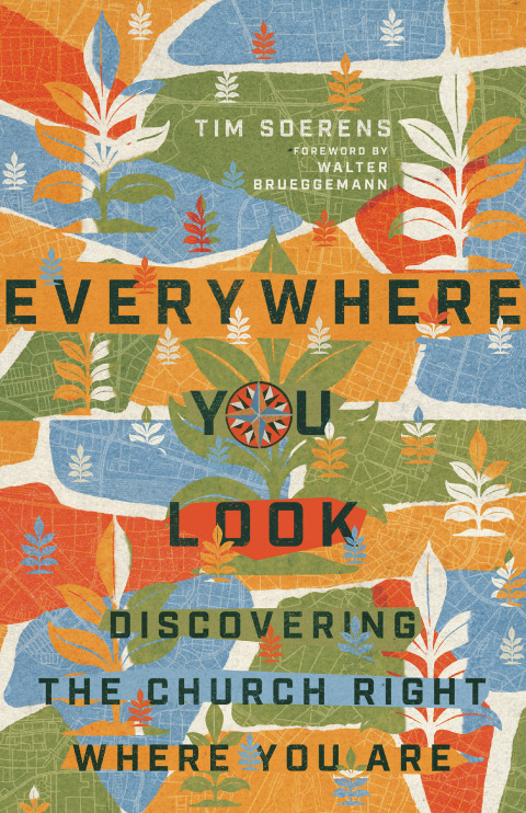 Cover image for book Everywhere You Look