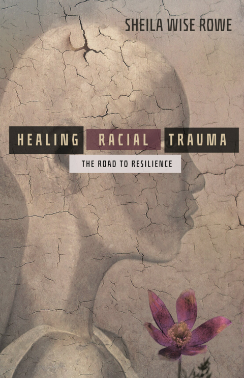 Cover image for book Healing Racial Trauma