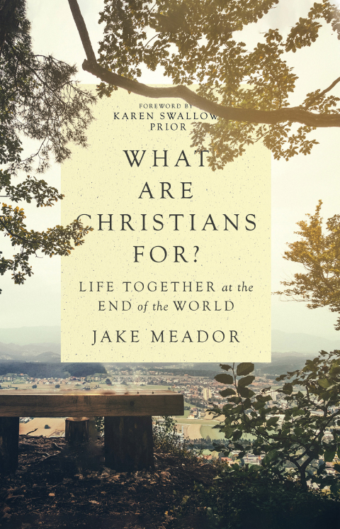 Cover image for book What Are Christians For?