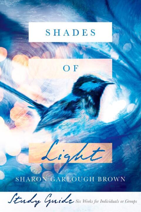 Cover image for book Shades of Light Study Guide