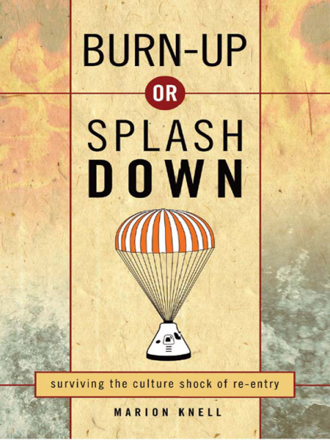 Cover image for book Burn Up or Splash Down