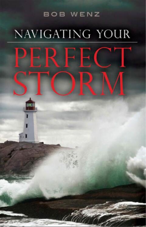 Cover image for book Navigating Your Perfect Storm