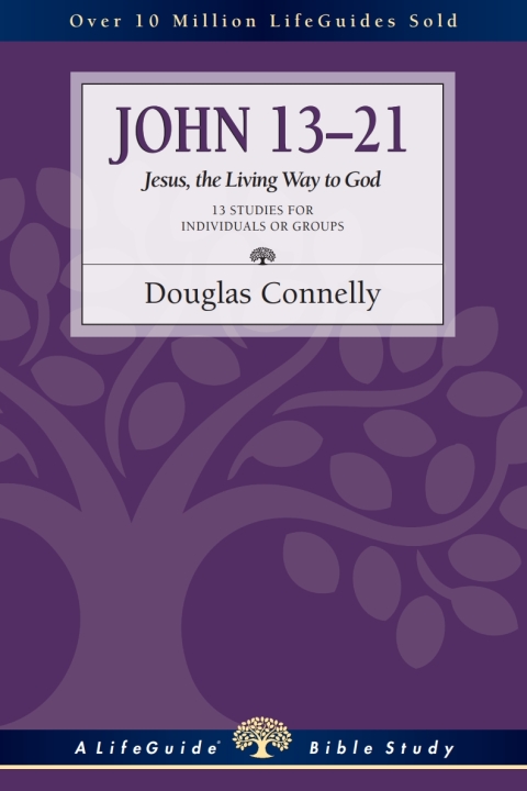 Cover image for book John 13-21