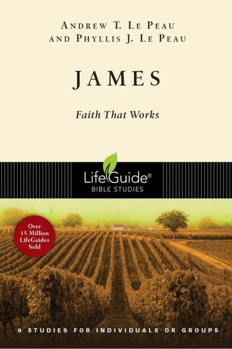 Cover image for book James
