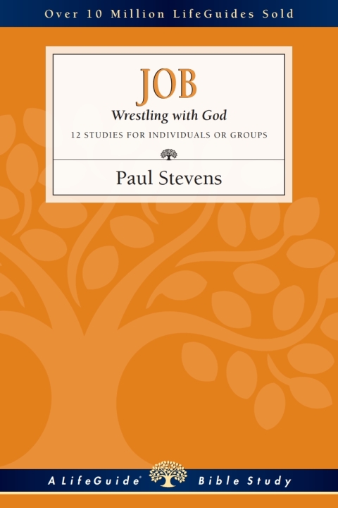 Cover image for book Job