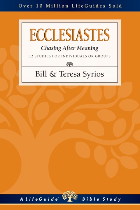 Cover image for book Ecclesiastes