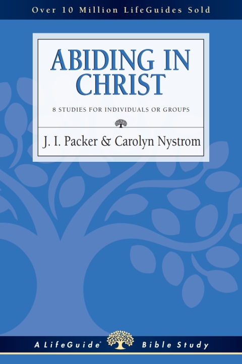 Cover image for book Abiding in Christ