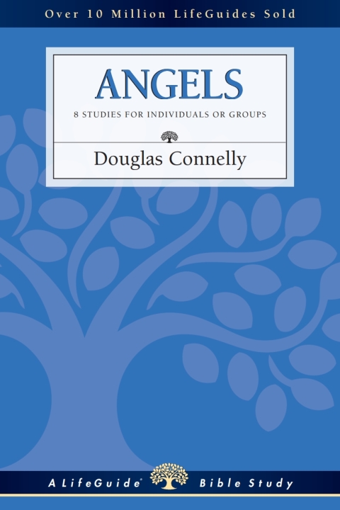 Cover image for book Angels