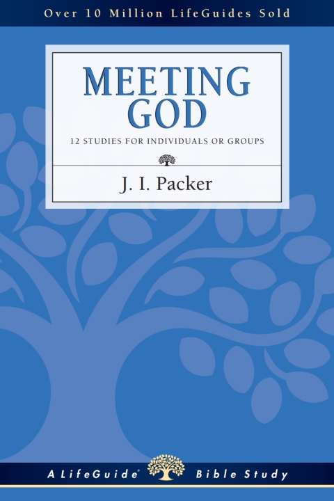 Cover image for book Meeting God
