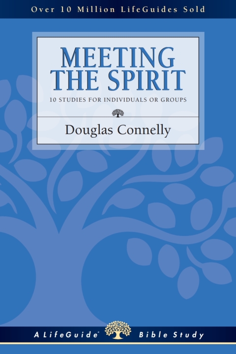 Cover image for book Meeting the Spirit