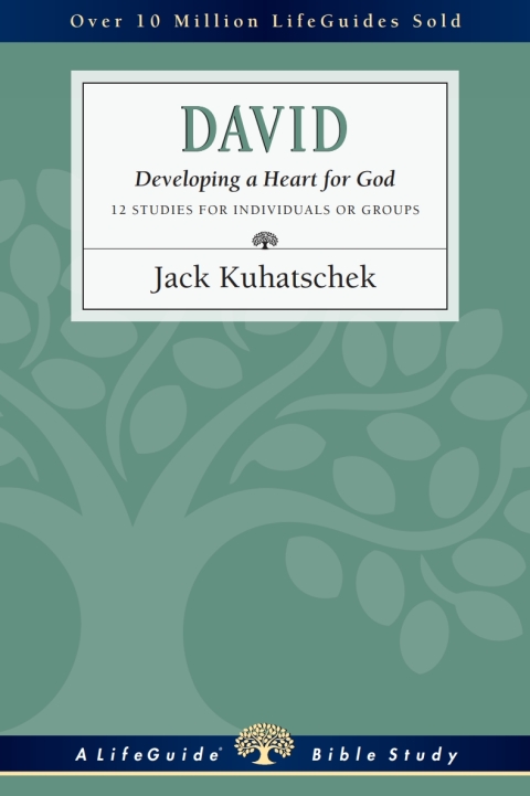 Cover image for book David