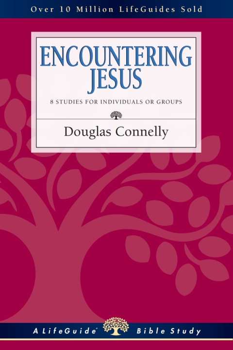 Cover image for book Encountering Jesus