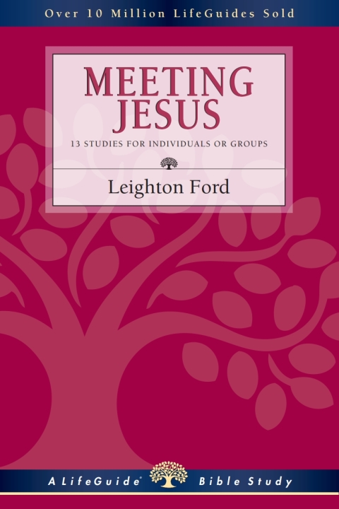 Cover image for book Meeting Jesus