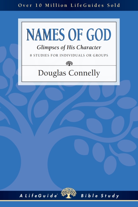 Cover image for book Names of God