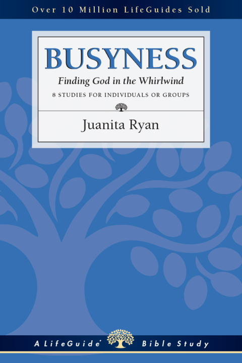 Cover image for book Busyness