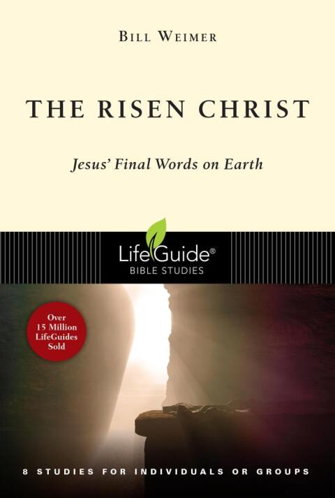Cover image for book The Risen Christ