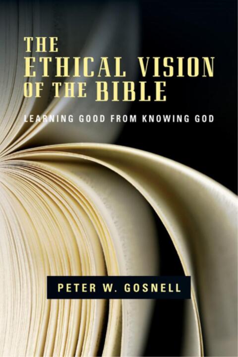 Cover image for book The Ethical Vision of the Bible