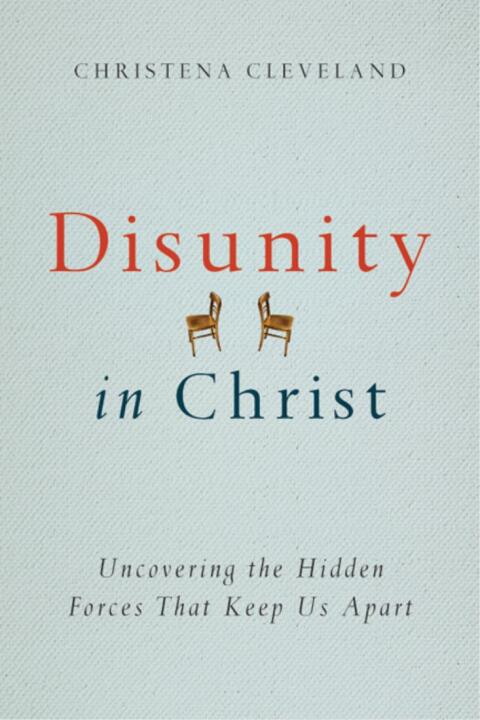 Cover image for book Disunity in Christ