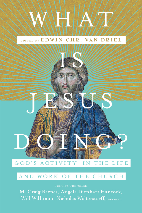 Cover image for book What Is Jesus Doing?