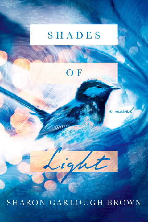 Cover image for book Shades of Light