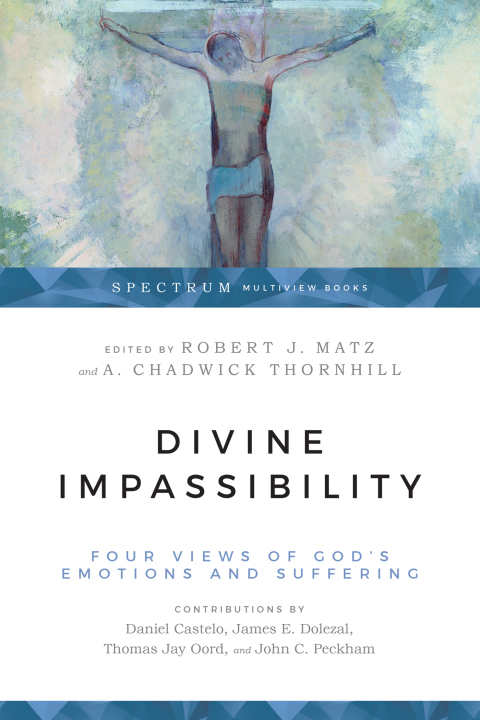Cover image for book Divine Impassibility