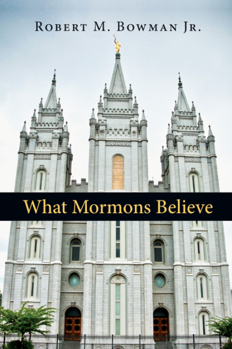 Cover image for book What Mormons Believe
