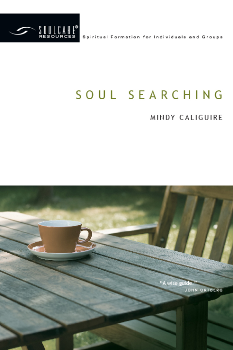 Cover image for book Soul Searching