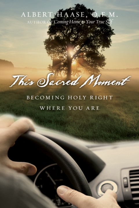 Cover image for book This Sacred Moment