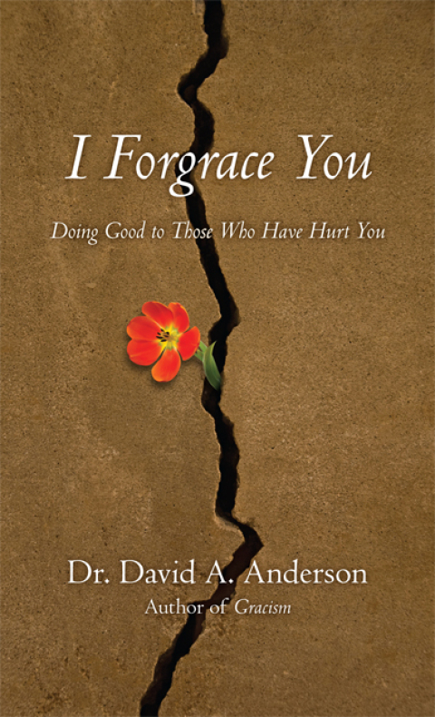 Cover image for book I Forgrace You