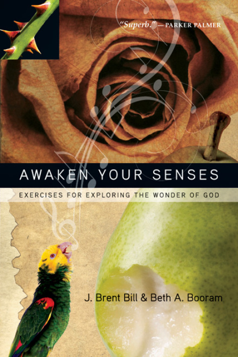 Cover image for book Awaken Your Senses