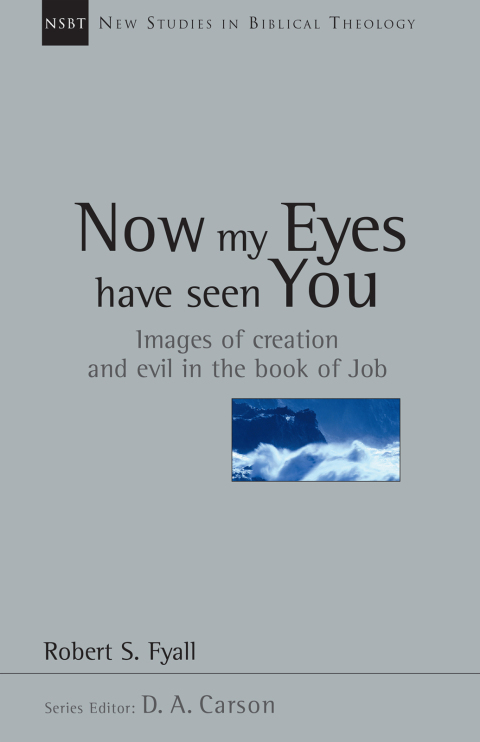 Cover image for book Now My Eyes Have Seen You