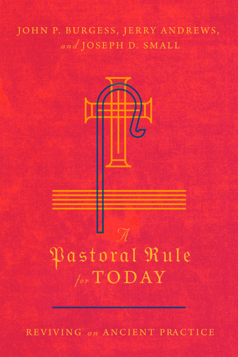 Cover image for book A Pastoral Rule for Today